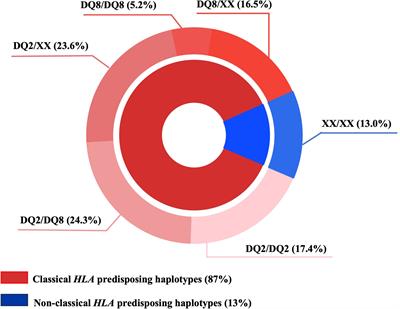 Next-generation sequencing reveals additional HLA class I and class II alleles associated with type 1 diabetes and age at onset